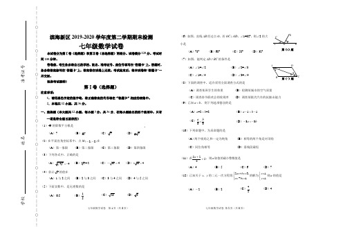 天津滨海新区2019-2020学年度第二学期期末检测数学试题及答案