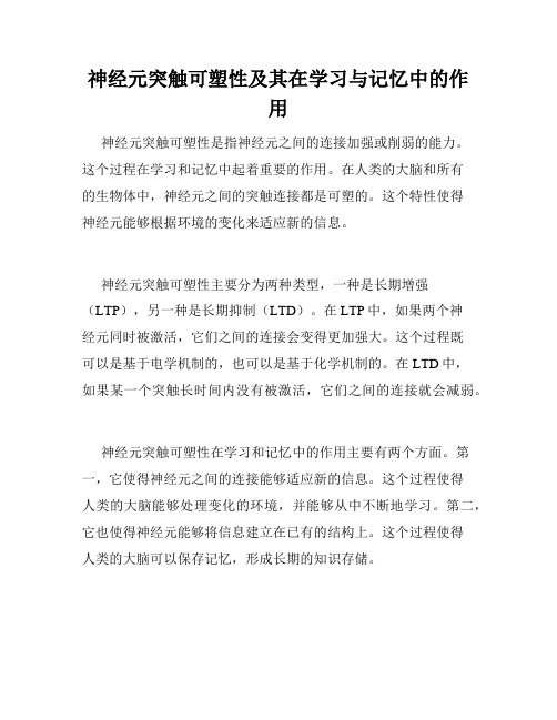 神经元突触可塑性及其在学习与记忆中的作用