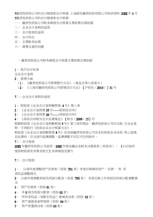 融资性担保公司的会计制度和会计核算