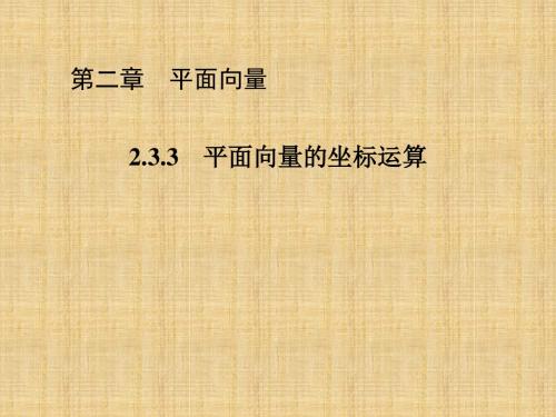 人教新课标A版高一数学《必修4》2.3.3 平面向量的坐标运算