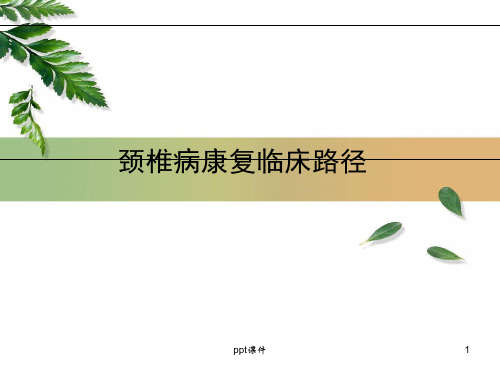 颈椎病中医临床路径  ppt课件