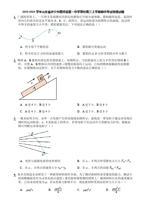 2023-2024学年山东省济宁市嘉祥县第一中学等校高三上学期期中考试物理试题