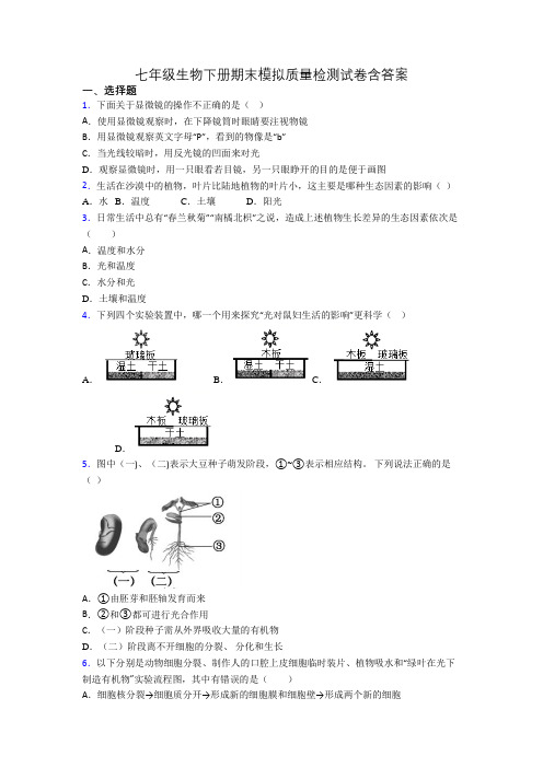 七年级生物下册期末模拟质量检测试卷含答案