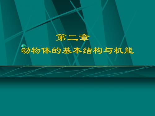 第二章  动物体的基本结构与机能