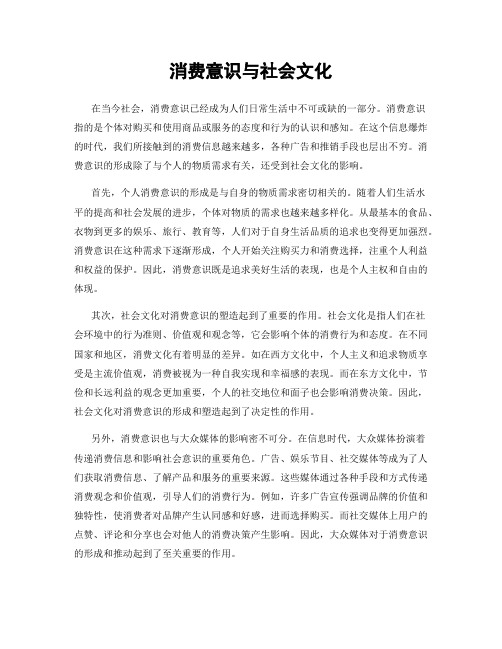 消费意识与社会文化