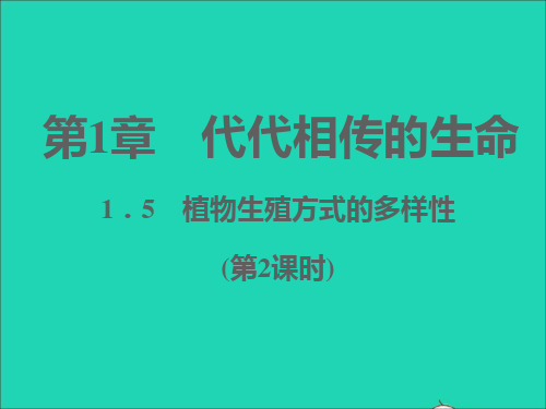 七年级科学下册第1章代代相传的生命1-5植物生殖方式的多样性第2课时习题课件新版浙教版