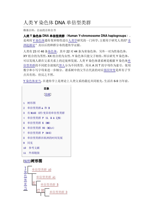 人类Y染色体DNA单倍型类群