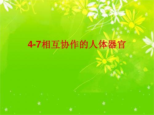 教科版四年级科学上册4.7相互协作的人体器官 优质课件