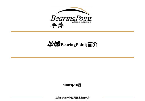 bearingpoint intro for FY03