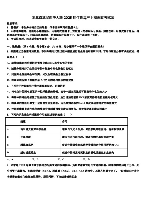 湖北省武汉市华大新2025届生物高三上期末联考试题含解析