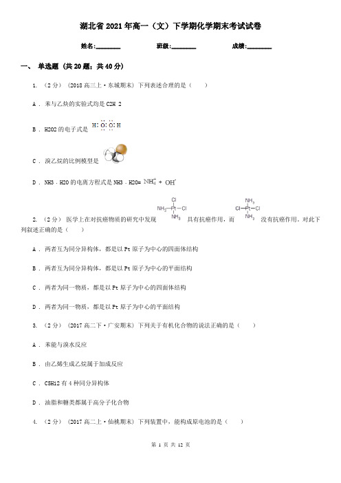 湖北省2021年高一(文)下学期化学期末考试试卷