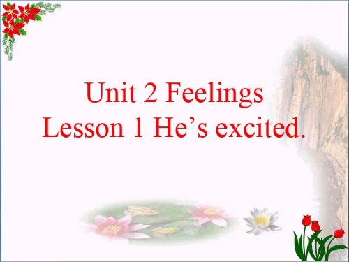 最新五年级英语上册 Unit 2 Lesson 1 He’s excited 鲁科版优选教学课件