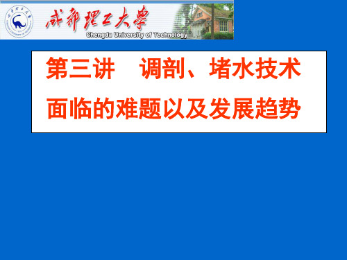 调剖堵水技术PPT幻灯片课件