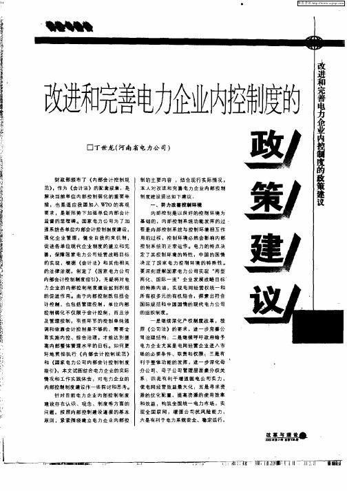 改进和完善电力企业内控制度的政策建议