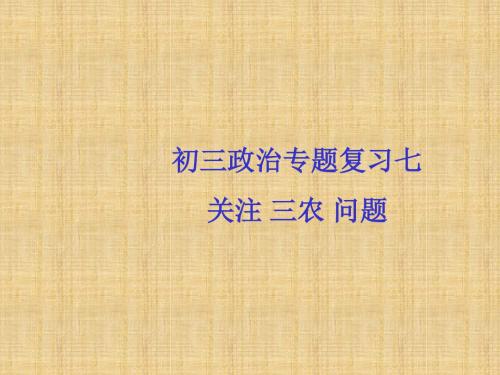 新课标初三政治专题复习七 关注 三农 问题名师课件