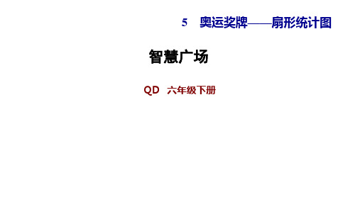 六年级下册数学习题课件智慧广场青岛版