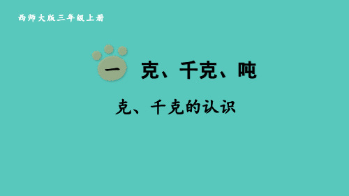 《克、千克的认识》克千克吨的认识PPT课件