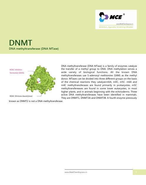 DNA_methyltransferase_(DNA_MTase)抑制剂_激动剂_MCE