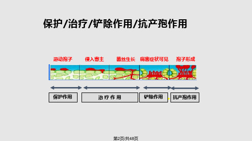 杀菌剂的作用方式