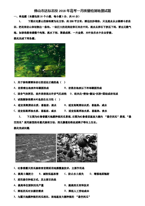 佛山市达标名校2018年高考一月质量检测地理试题含解析