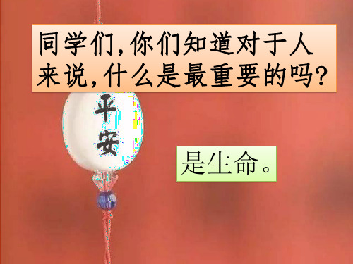 珍爱生命,自护自救