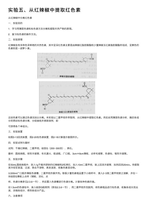 实验五、从红辣椒中提取红色素
