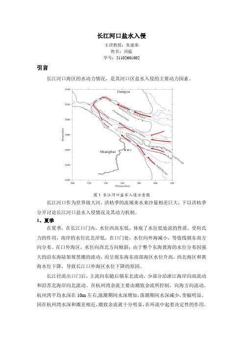 长江河口盐水入侵