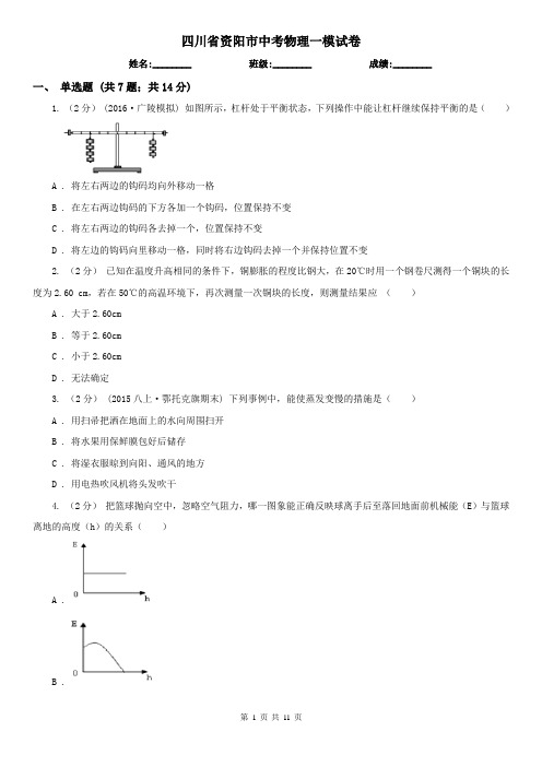 四川省资阳市中考物理一模试卷