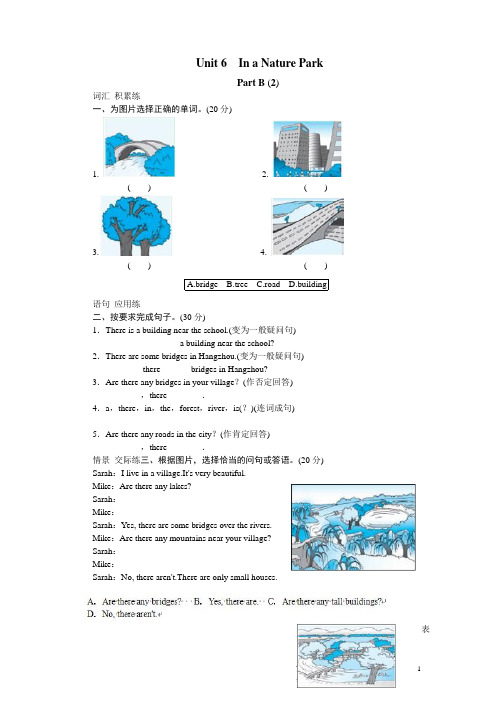 课时测评-英语人教PEP5年上 unit6 In a nature park-PartB试题及答案 (2)