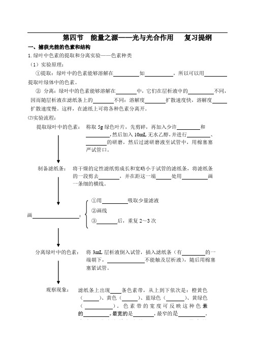 光合作用复习提纲