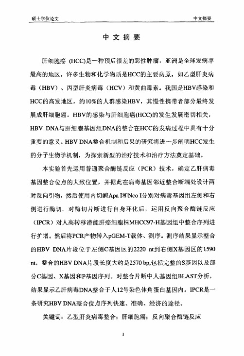 运用反向聚合酶链反应技术检测mhcc97-h肝癌细胞整合的乙肝病毒序列