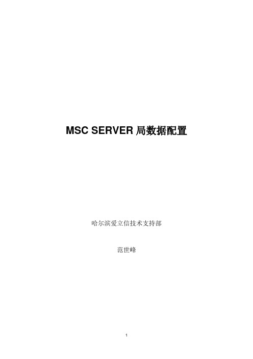 MSC SERVER局数据