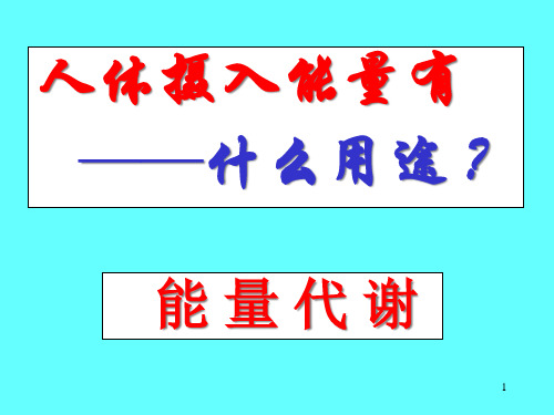 三讲食物营养与健康能量代谢与糖尿病PPT课件