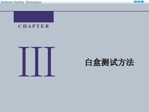 Software Testing-白盒测试 Software Testing Techniques_2013 《软件测试》课件