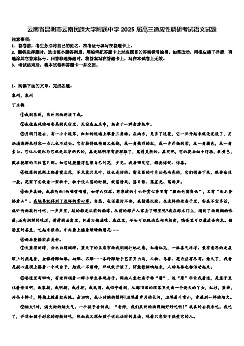 云南省昆明市云南民族大学附属中学2025届高三适应性调研考试语文试题含解析