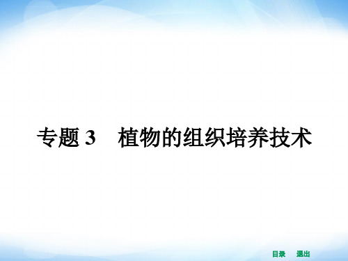 人教版高中生物选修一全册课件31菊花的组织培养讲解