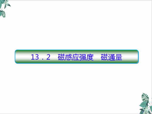 高二上学期物理人教版必修第三册课件磁感应强度磁通量1