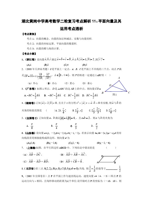 湖北黄岗中学高考数学二轮复习考点解析平面向量及其运用考点透析