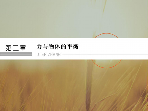2018年高考物理四川专用一轮复习课件:第2章 力与物体的平衡