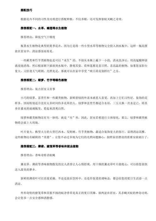花卉搭配技巧