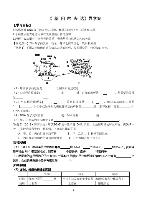 高三导学案必修二《二轮复习—基因的表达》