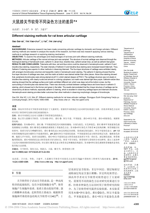 大鼠膝关节软骨不同染色方法的差异