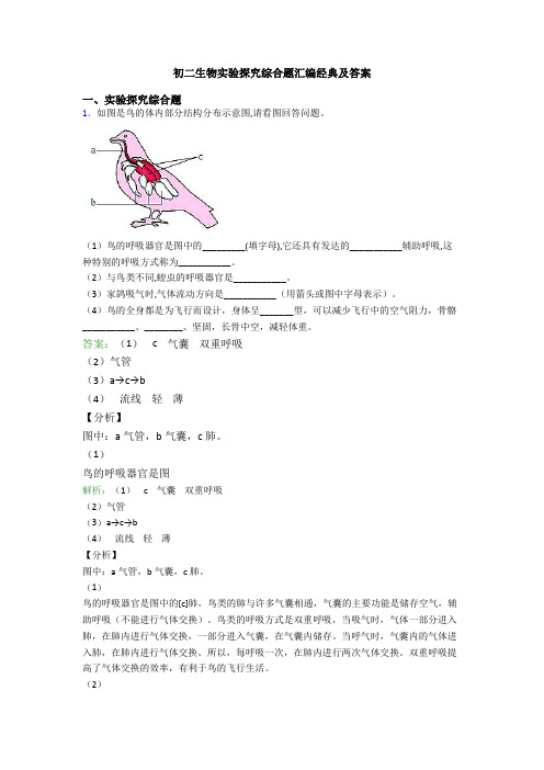 初二生物实验探究综合题汇编经典及答案