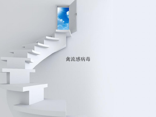 禽流感病毒