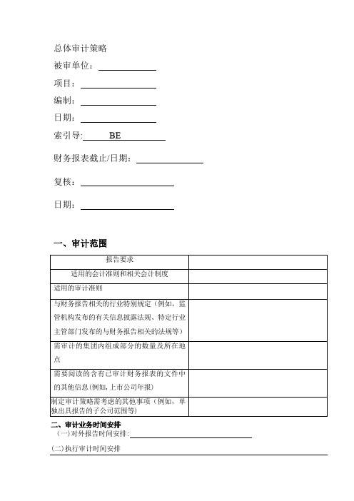 总体审计策略及具体审计计划实物模板