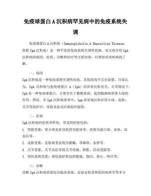 免疫球蛋白A沉积病罕见病中的免疫系统失调