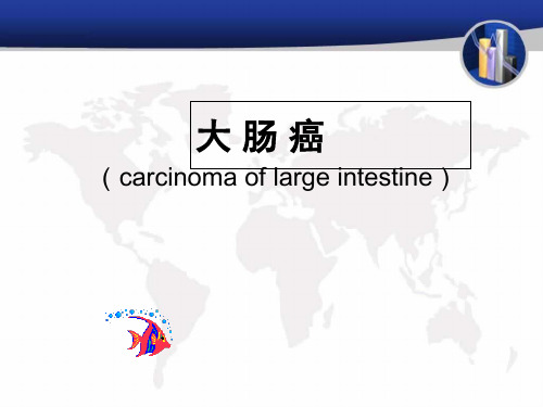 大肠课件-PPT文档资料
