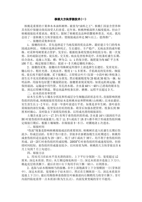 核桃的嫁接管理