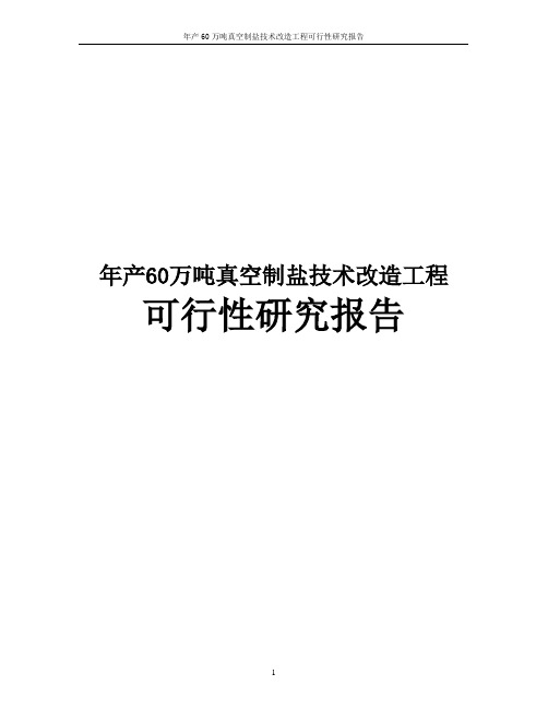 年产60万吨真空制盐技术改造工程可行性研究报告