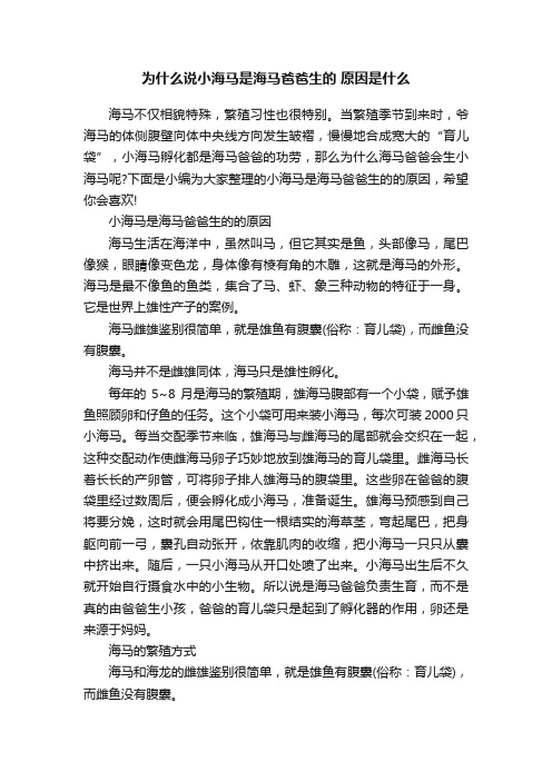 为什么说小海马是海马爸爸生的原因是什么